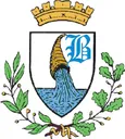 Stemma di Brondello