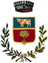 Stemma di Camandona