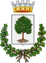 Stemma di Igliano