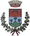 Stemma di San Martino Canavese