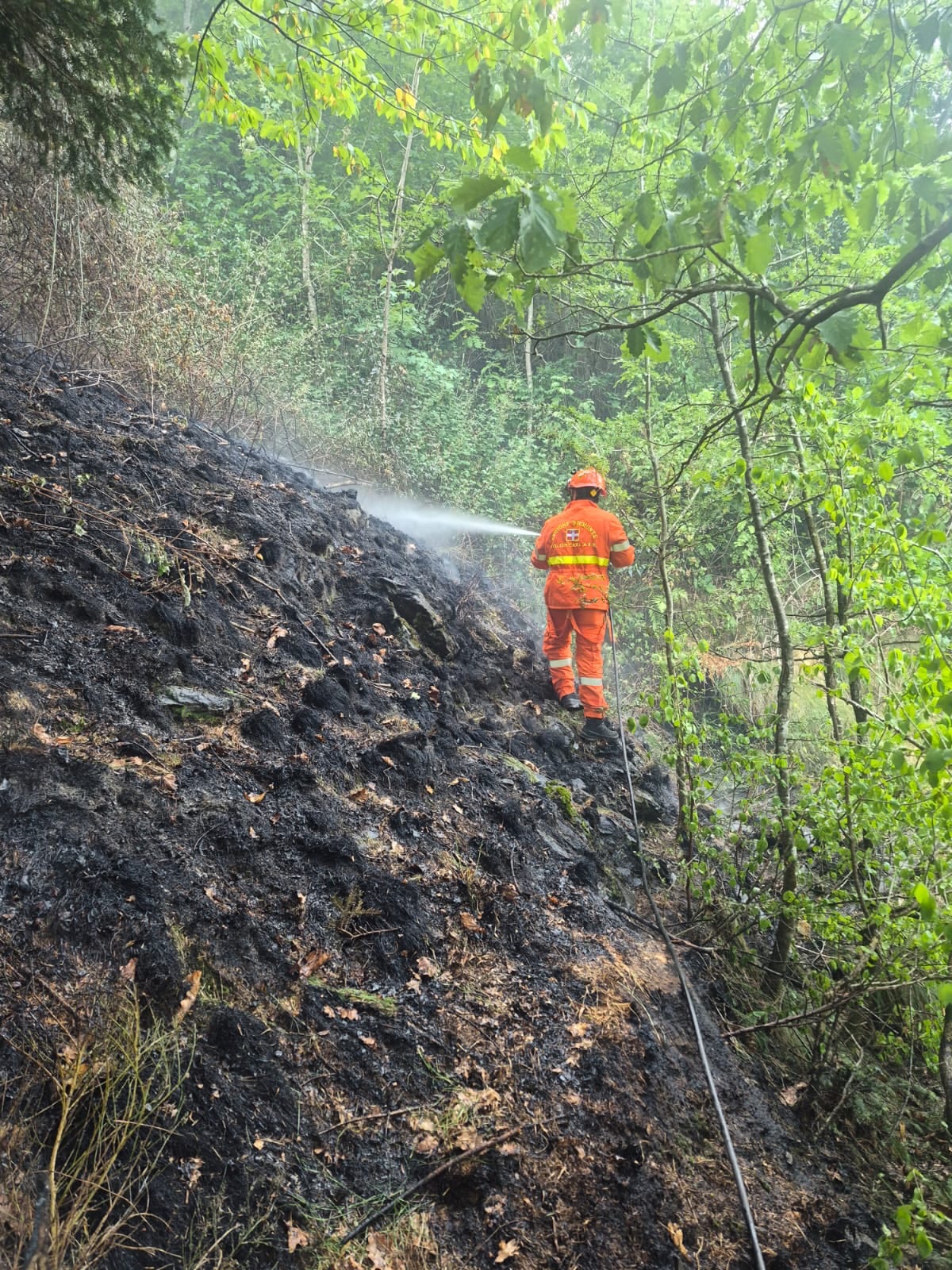 Numerosi incendi boschivi in corso sul Piemonte, gli aggiornamenti