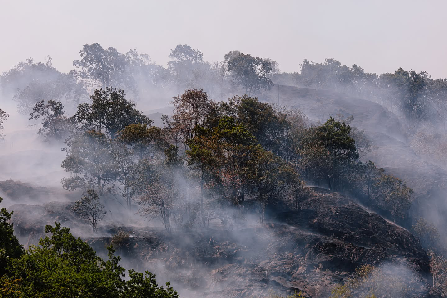Emergenza incendi in Piemonte: ancora attivi alcuni focolai sulle montagne tra Torinese e Verbano; gli aggiornamenti