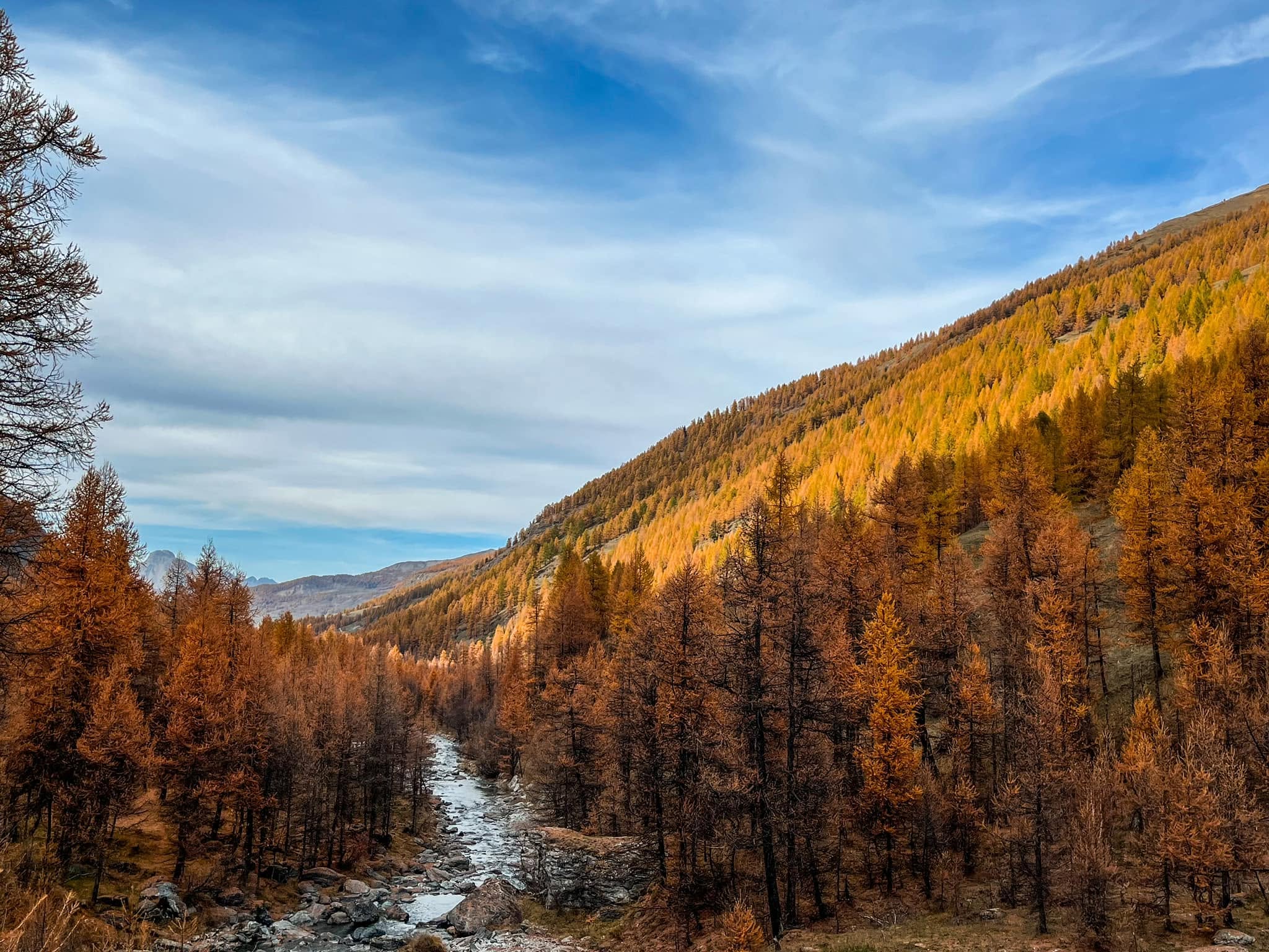 Valle Argentera.jpg