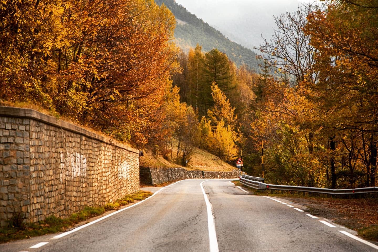 I colori dell'autunno: cosa è il foliage e perchè si verifica questo spettacolo della natura