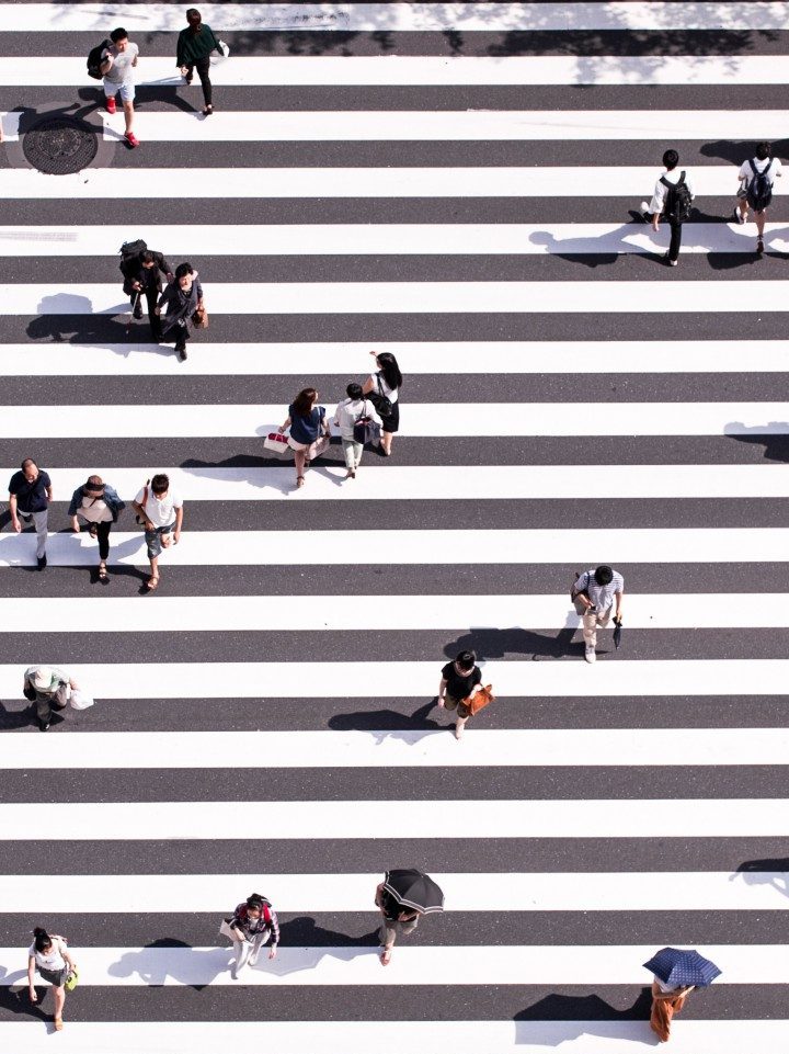 ryoji-iwata-n31JPLu8_Pw-unsplash-e1563790222881.jpg