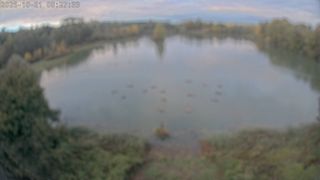 2026-10-21T06:33:46.268752+00:00