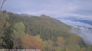 2026-10-21T14:36:37.135429+00:00