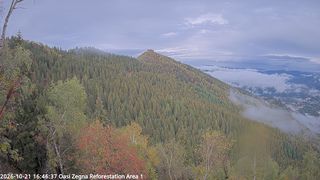2026-10-21T14:46:43.34594+00:00