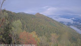 2026-10-21T14:56:31.620513+00:00