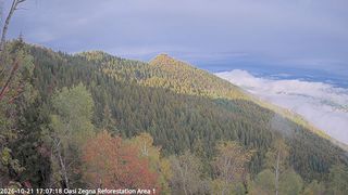 2026-10-21T15:07:28.378959+00:00
