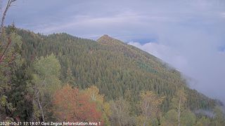 2026-10-21T15:19:20.823346+00:00