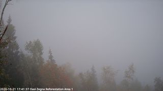 2026-10-21T15:41:47.994732+00:00