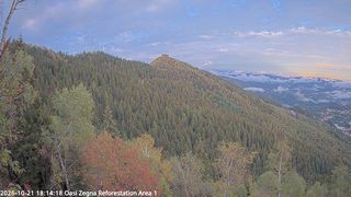 2026-10-21T16:14:26.696792+00:00