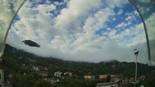 2026-10-21T15:07:34.54864+00:00