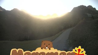2026-10-21T14:23:17.071652+00:00