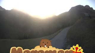 2026-10-21T14:33:23.539257+00:00