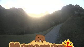 2026-10-21T14:43:46.050098+00:00