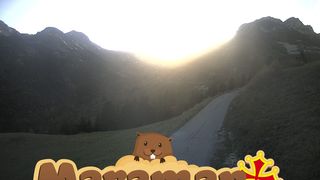 2026-10-21T15:15:48.625068+00:00