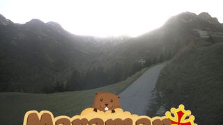 2026-10-21T15:59:10.800403+00:00
