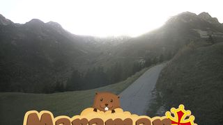 2026-10-21T16:11:59.375515+00:00
