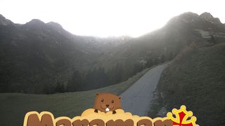 2026-10-21T16:22:05.924668+00:00