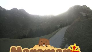 2026-10-21T16:32:12.226389+00:00