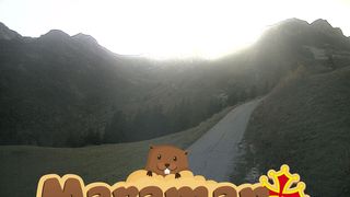2026-10-21T16:55:37.954371+00:00