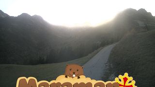 2026-10-21T17:06:11.487057+00:00
