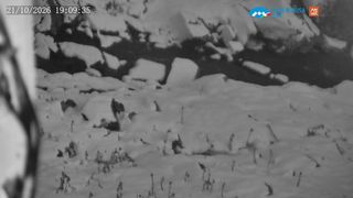 2026-10-21T17:11:27.416454+00:00