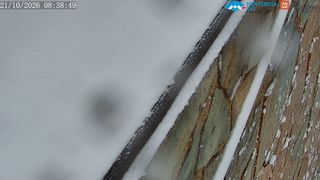 2026-10-21T06:42:26.776973+00:00