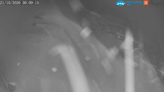 2026-10-20T22:16:57.026985+00:00