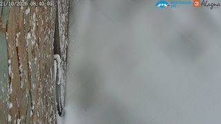 2026-10-21T06:42:28.088431+00:00