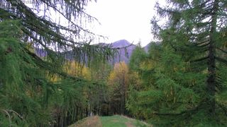 2026-10-21T15:44:23.331135+00:00