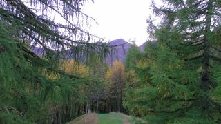 2026-10-21T15:54:16.911501+00:00