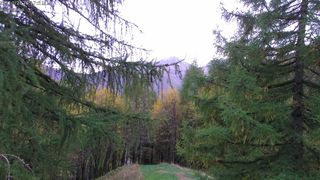 2026-10-21T16:06:53.000201+00:00
