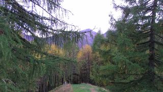 2026-10-21T16:16:49.697009+00:00