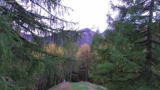 2026-10-21T16:26:45.16887+00:00