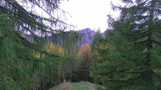 2026-10-21T16:50:02.43245+00:00