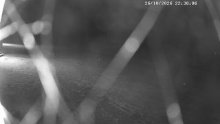 2026-10-26T21:31:46.021303+00:00