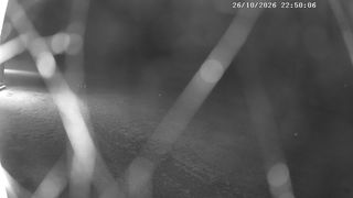 2026-10-26T21:57:49.76352+00:00