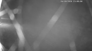 2026-10-26T22:06:24.788236+00:00