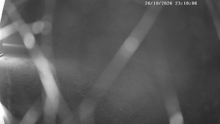 2026-10-26T22:15:11.721021+00:00