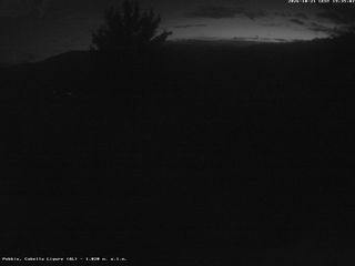 2026-10-21T17:38:56.363909+00:00
