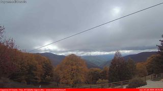 2026-10-21T12:38:49.145483+00:00